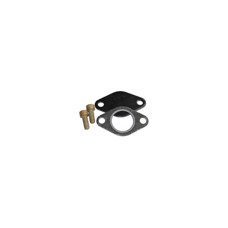 Kit de Supression de la Vanne EGR pour : Defender 90/110/130   2.5L TDi 300