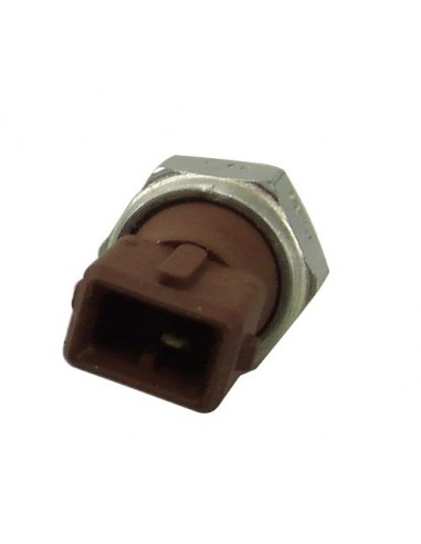 Sonde Pression d'Huile (Voir info) Moteur 2.5 DT BMW / TD4 BMW / 3.0L TD6 BMW / V8 4.4L BMW : P38 / Freelander 1 / L322