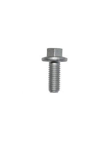 Vis à Bride M6 x 12mm