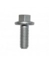 Vis à Bride M6 x 12mm
