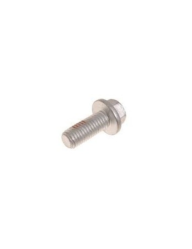 Vis M10 x 25mm