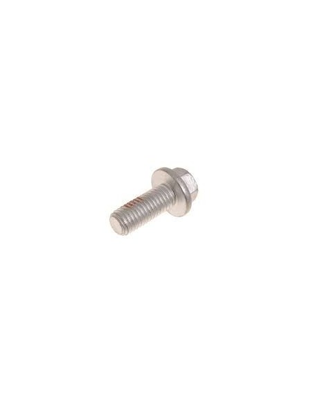 Vis M10 x 25mm