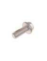 Vis M10 x 25mm