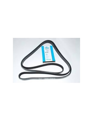 Courroie Primaire d'Accessoires OEM