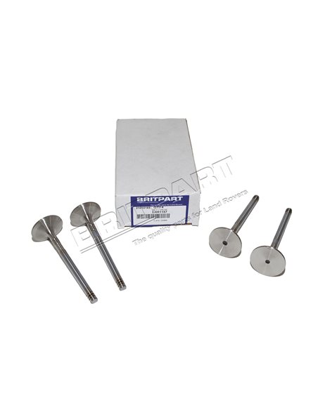 Soupape d'Admission Moteur 200/300 TDi : Defender 90/110/130 / Discovery 1 / Range Classic