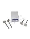 Soupape d'Admission Moteur 200/300 TDi : Defender 90/110/130 / Discovery 1 / Range Classic