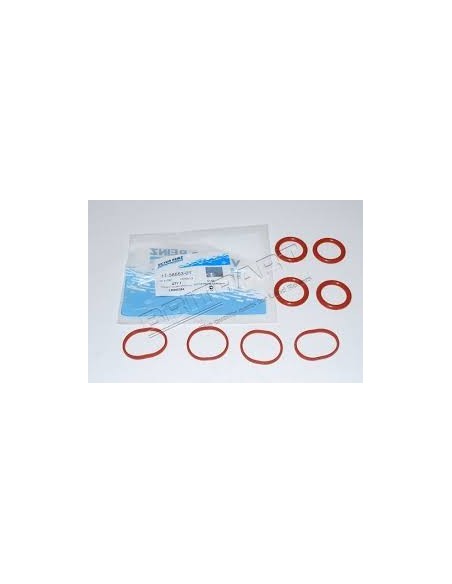 Kit Joint OEM du Collecteur d'Admission