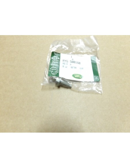 Vis M6 x 14mm