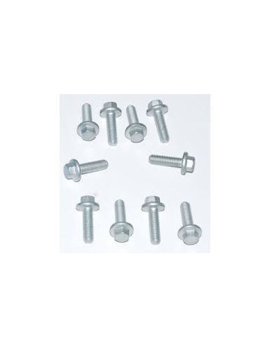 Vis M6 x 14mm