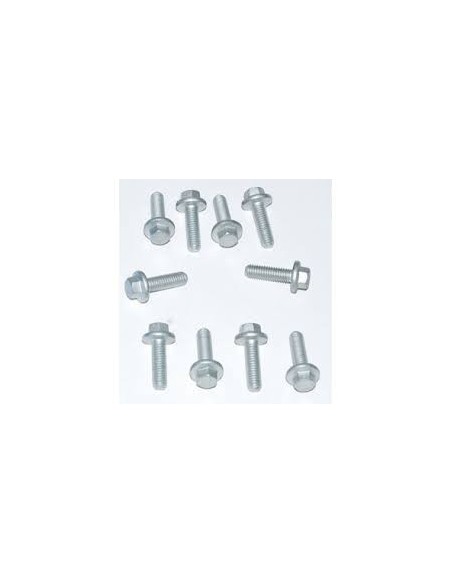 Vis M6 x 14mm