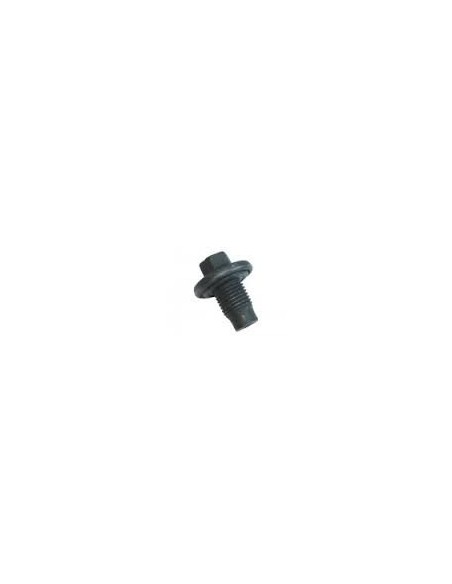 Vis M6 x 16MM