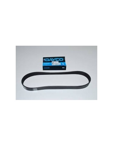 Courroie Secondaire DAYCO d'Accessoires