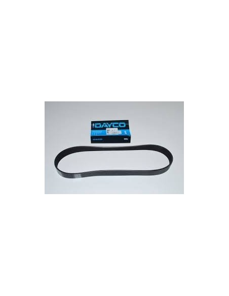 Courroie Secondaire DAYCO d'Accessoires