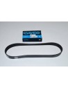 Courroie Secondaire DAYCO d'Accessoires