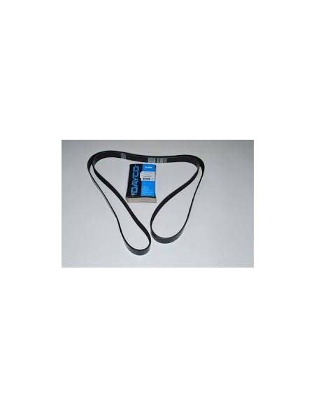Courroie d'Accessoire BRITPART (L : 2322mm) Monté à partir de 1999