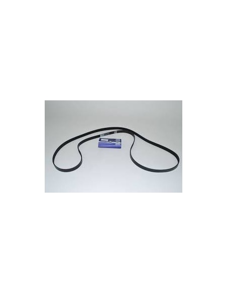 Couroie DAYCO Primaire d'Accessoires avec ACE