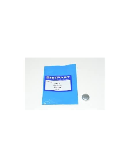 Pastille de Dessablage du Bloc Diam : 38mm