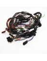 Faisceau Moteur 4 Cylindres