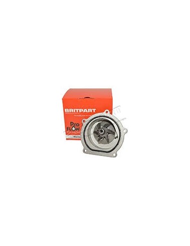 Pompe à Eau OEM