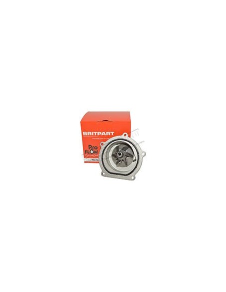 Pompe à Eau OEM