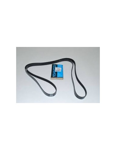 Courroie Secondaire DAYCO d'Accessoires