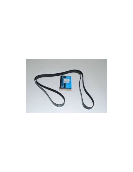 Courroie Secondaire DAYCO d'Accessoires