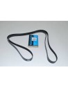 Courroie Secondaire DAYCO d'Accessoires