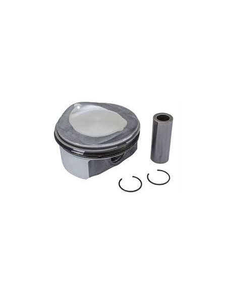 Piston Complet