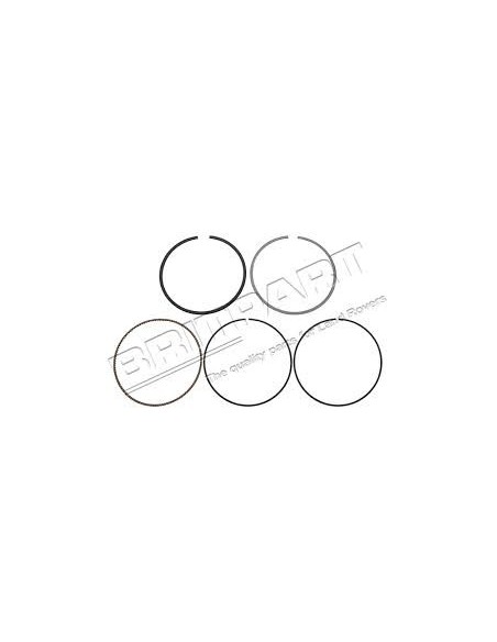 Piston Complet