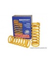 Ressort Avant + 40 mm et + 100 kg pour : DISCOVERY 2 