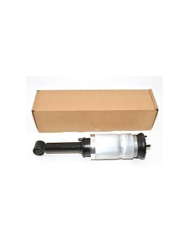 Amortisseur Avant Doit ou Gauche Complet OEM Montage avec Suspension Pneumatique