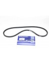 Courroie du Ventilateur BRITPART