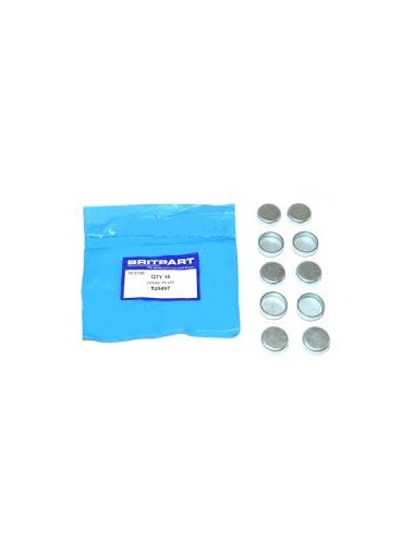 Pastille du Bloc Moteur (diam : 2.5cm)