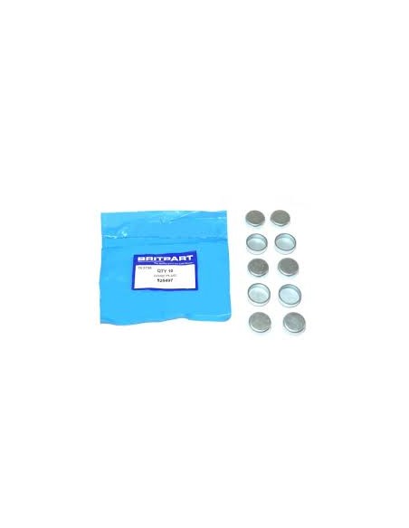 Pastille du Bloc Moteur (diam : 2.5cm)