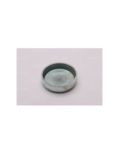Pastille du Bloc Moteur (diam : 2.5cm)