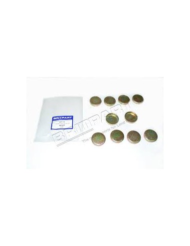 Pastille de Dessablage sur le Bloc Moteur (diam 45mm)