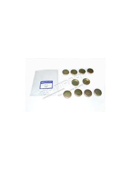 Pastille de Dessablage sur le Bloc Moteur (diam 45mm)