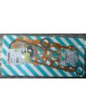 Pochette Rodage PAYEN
