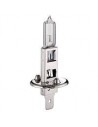 Ampoule H1
