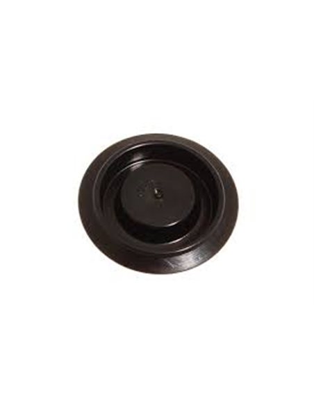 Bouchon du Récepteur d'Embrayage Monté à partir de 2001
