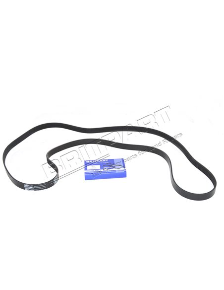 Courroie d'Accessoires BRITPART sans Clim. 