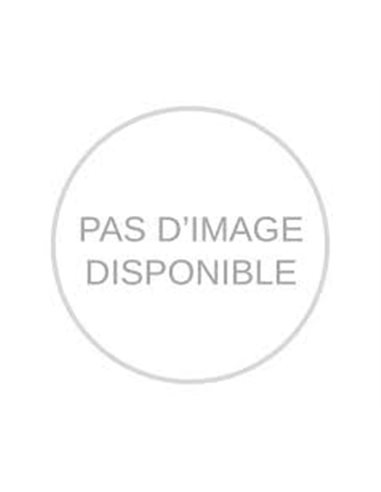 Faisceau du Pare Choc Avant Monté jusqu'en 2013 (Voir Description)