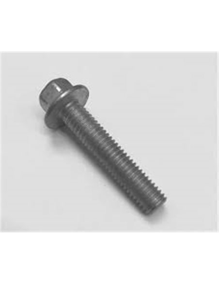 Vis M6 x 30mm