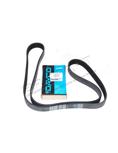 Courroie d'Accessoires DAYCO
