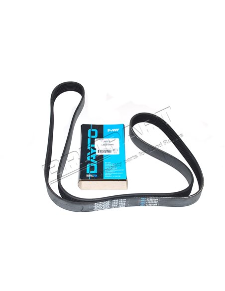 Courroie d'Accessoires DAYCO