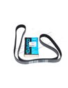 Courroie d'Accessoires DAYCO