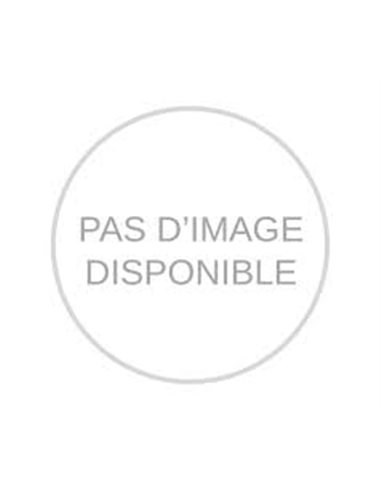 Bâche couleur BEIGE avec Fenêtre Latérale : DEFENDER 130
