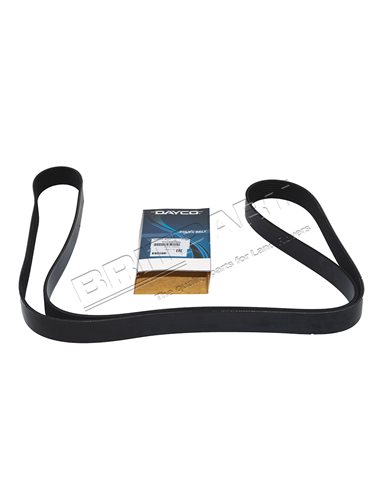 Courroie d'Accessoires DAYCO Montage sans ACE