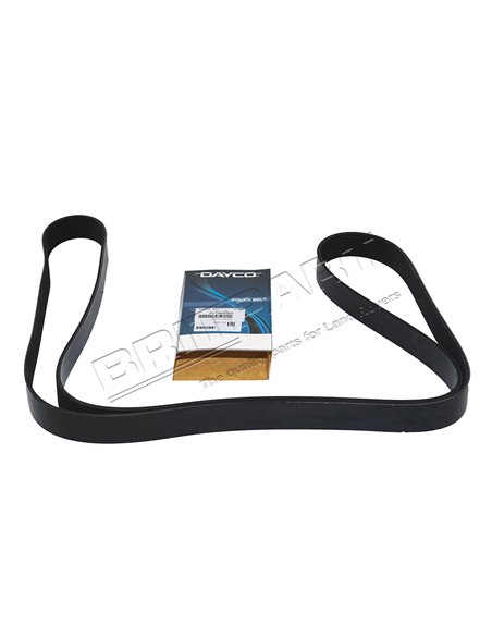 Courroie d'Accessoires DAYCO Montage sans ACE