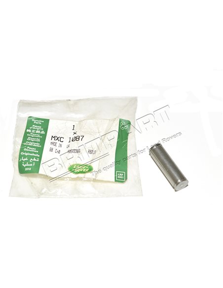 Axe de Butée Supérieur de Porte du Coffre